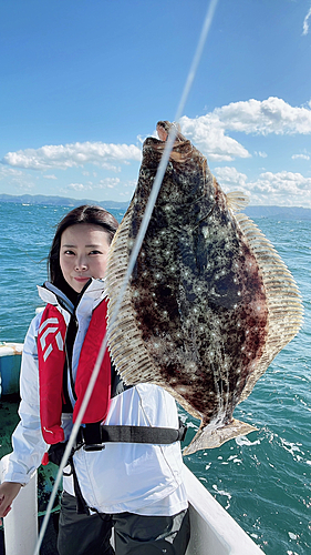 ヒラメの釣果