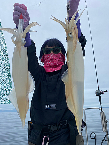 ケンサキイカの釣果