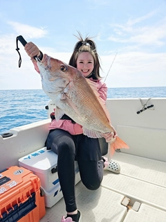 マダイの釣果