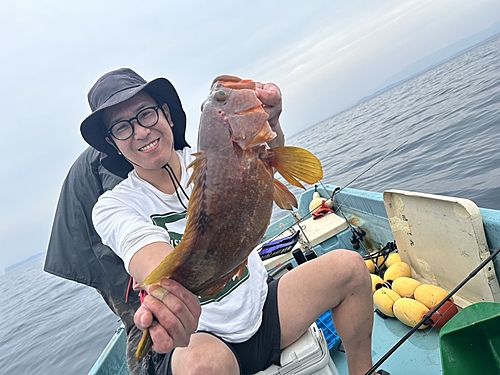 アコウの釣果