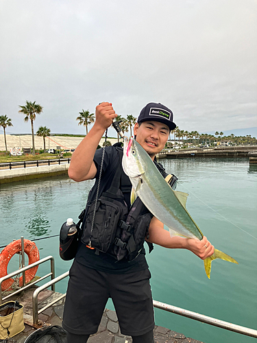 ワラサの釣果