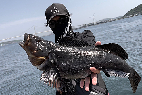 アブラコの釣果