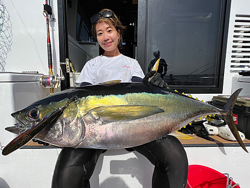 キハダマグロの釣果