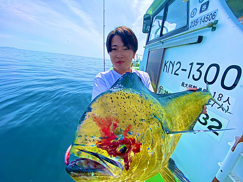 シイラの釣果