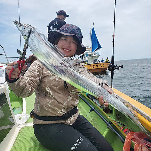 タチウオの釣果