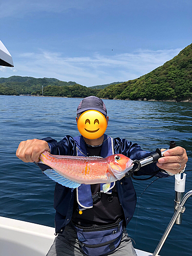 アマダイの釣果