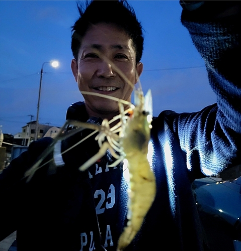 テナガエビの釣果