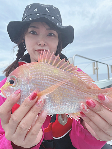 レンコダイの釣果