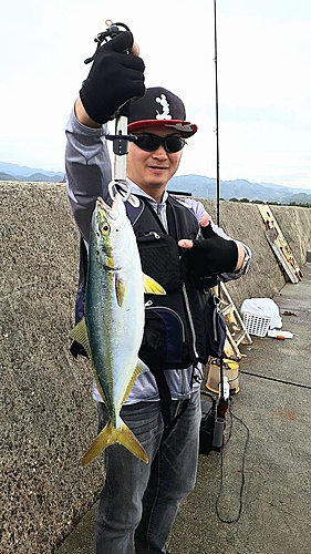 ヤズの釣果