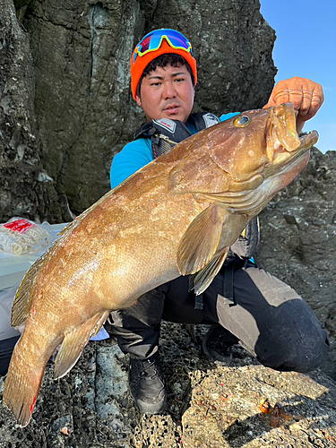 クエの釣果