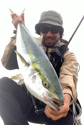 ブリの釣果