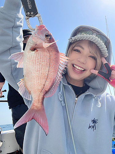 マダイの釣果