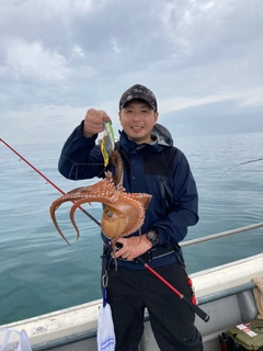 マダコの釣果