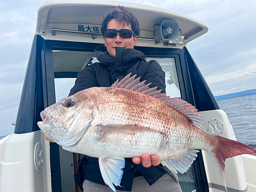 マダイの釣果