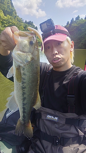 ブラックバスの釣果