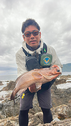 オオモンハタの釣果