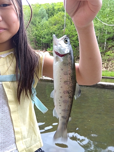 ヤマメの釣果