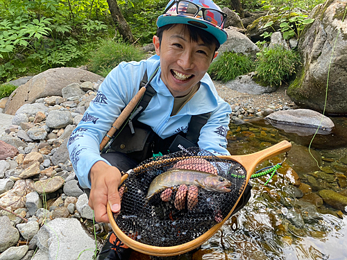 イワナの釣果