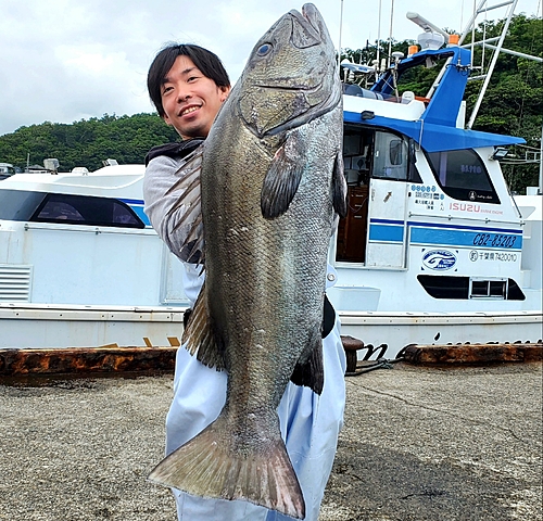 イシナギの釣果