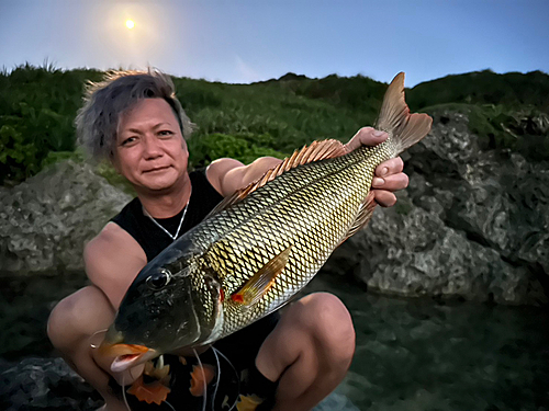 ムネアカクチビの釣果