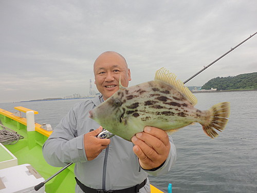 カワハギの釣果