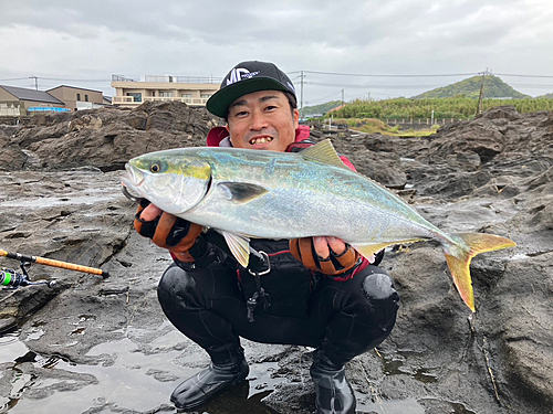 イナダの釣果