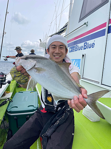 ショゴの釣果