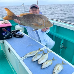 ハマフエフキの釣果