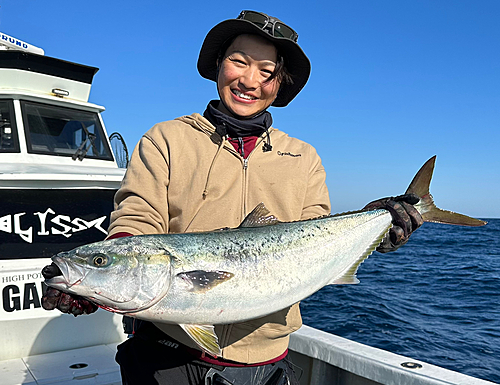 ブリの釣果