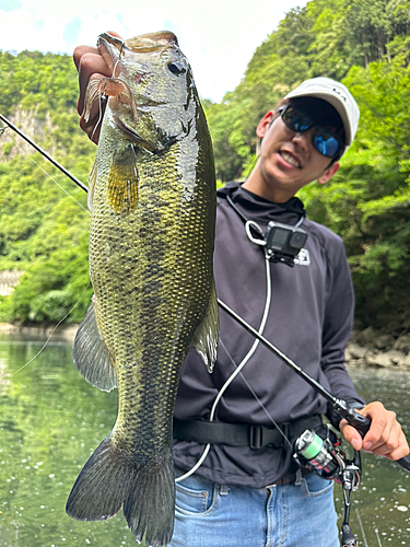 ブラックバスの釣果