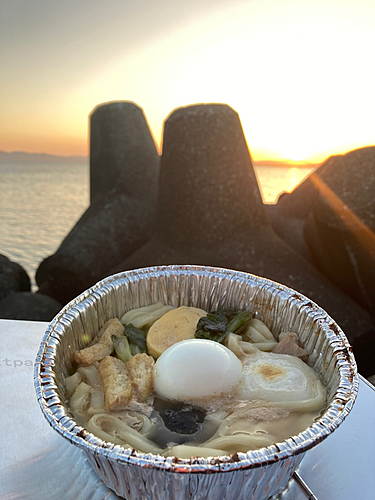 ソイの釣果