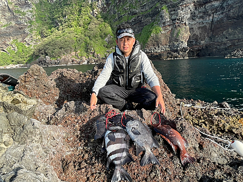 イシダイの釣果