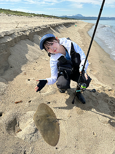 エイの釣果