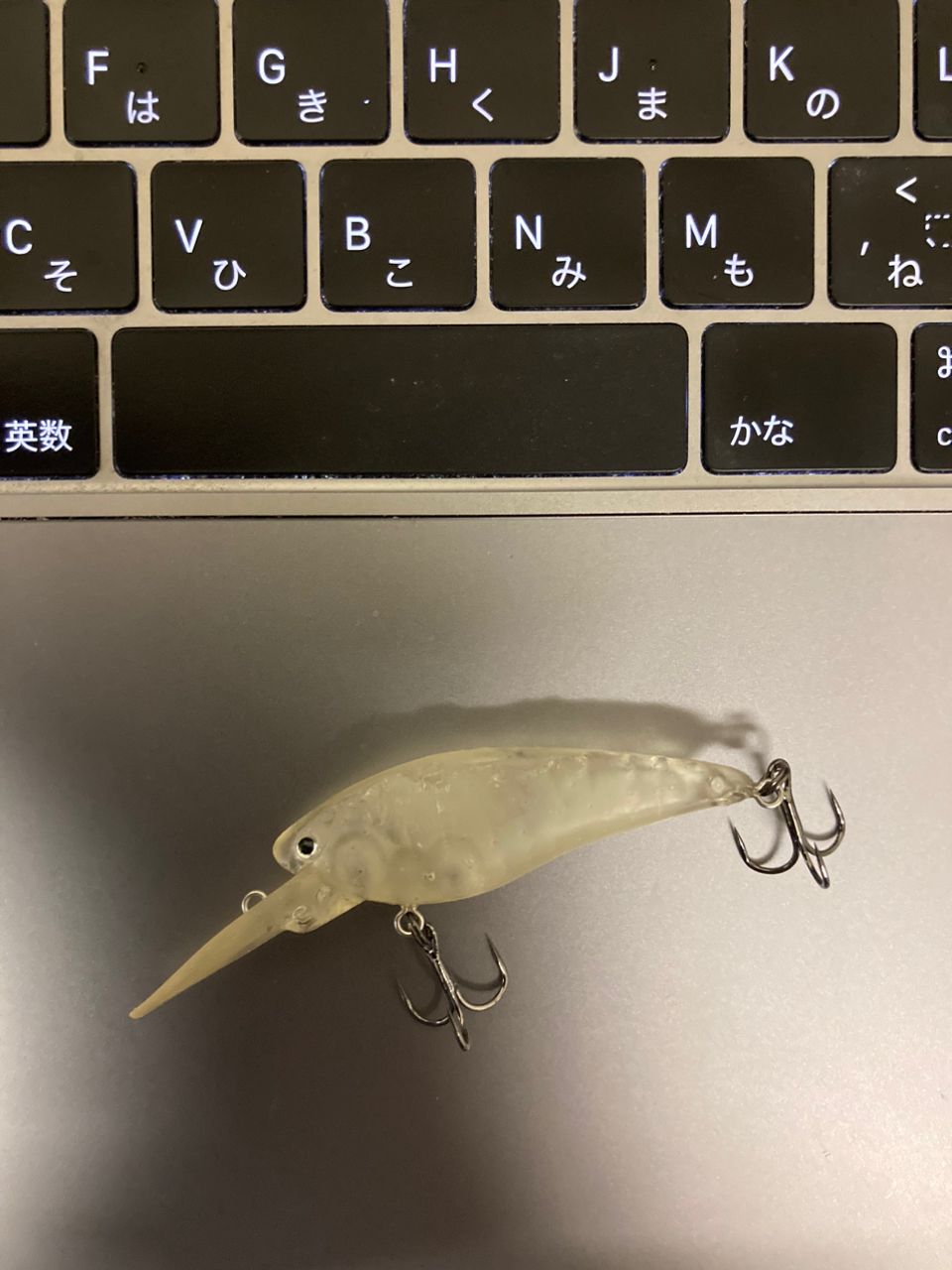 ラージマウスバス