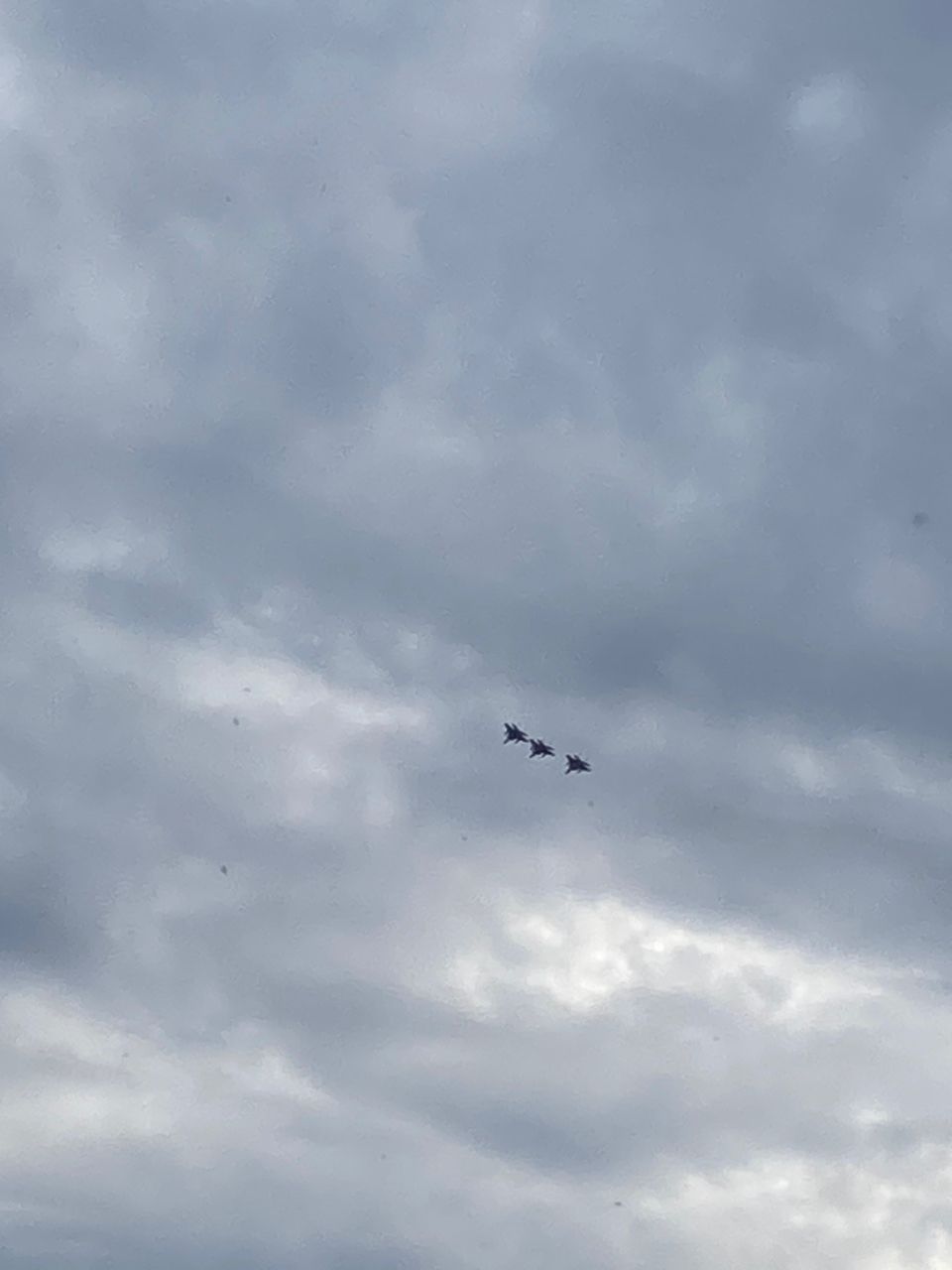 ラージマウスバス