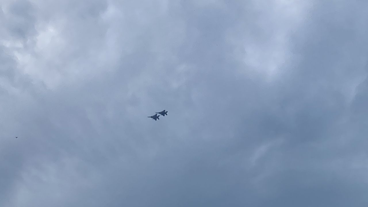 ラージマウスバス