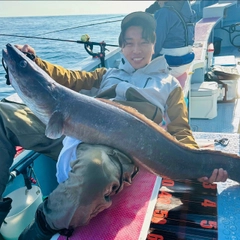 クロアナゴの釣果