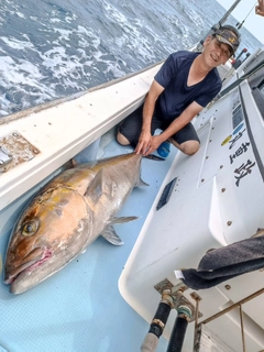 カンパチの釣果