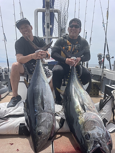 クロマグロの釣果