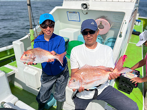 マダイの釣果