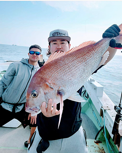 マダイの釣果