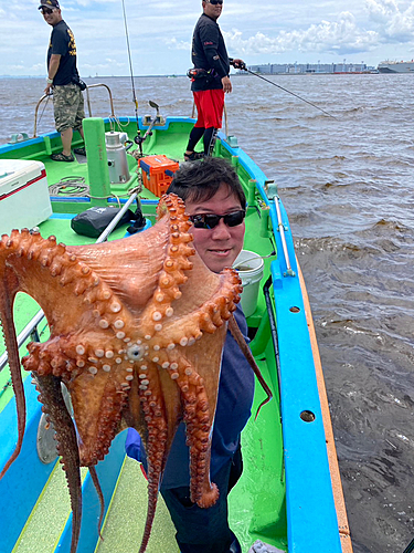 マダコの釣果