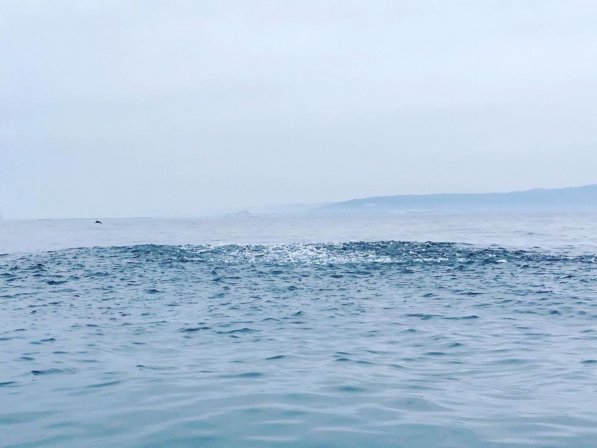 🐟若旦那🐟さんの釣果 3枚目の画像