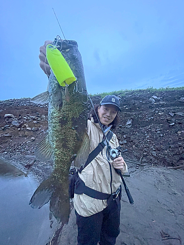 ブラックバスの釣果