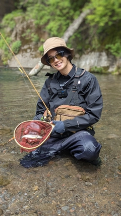 イワナの釣果