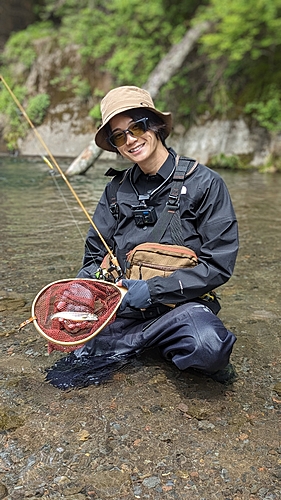 イワナの釣果