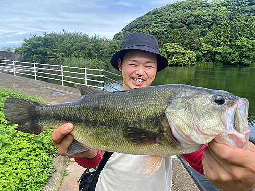 ブラックバスの釣果