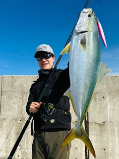 メジロの釣果