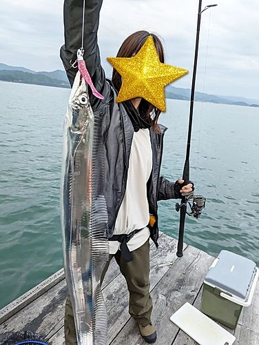 タチウオの釣果