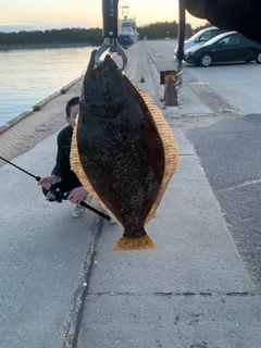 ヒラメの釣果